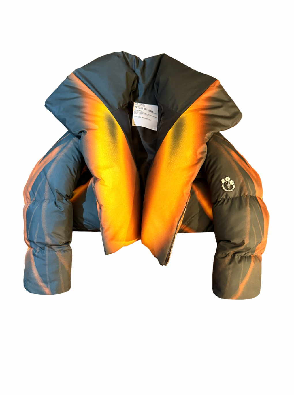 Birds Of Paradise Night